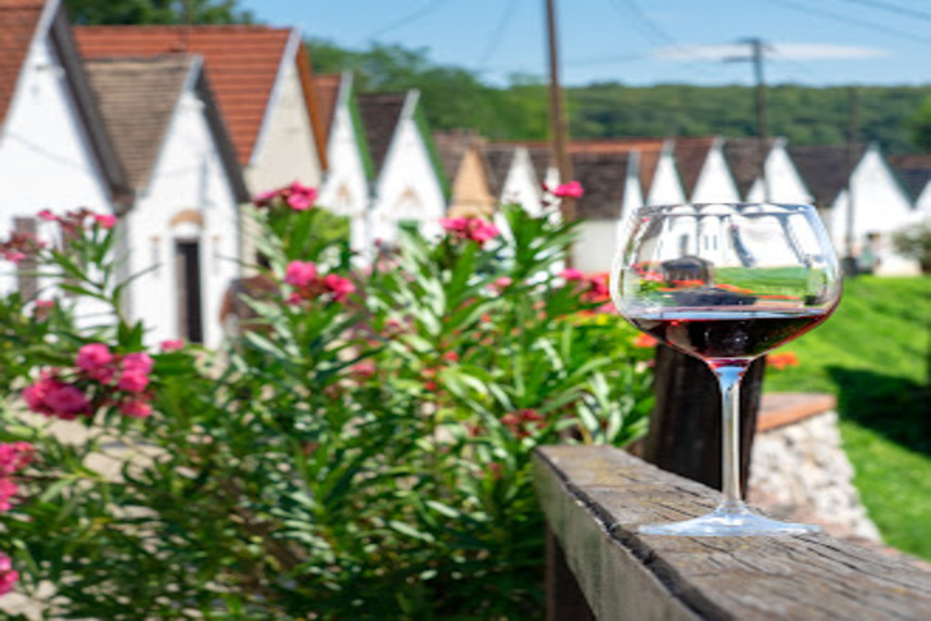 Exploring Hungarian wines: flavours, grape varieties and pairing suggestions